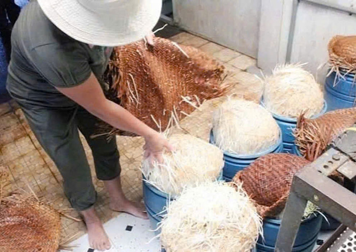 Giá đỗ ngâm hoá chất chuẩn bị tuồng ra thị trường