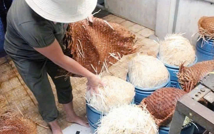 Vụ 3.000 tấn giá đỗ ngâm hoá chất ở Đắk Lắk: Cơ sở khai cung cấp 350-400kg/ngày cho Bách Hóa Xanh Ảnh 2