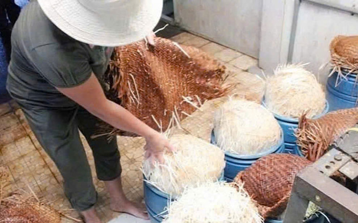 Bách Hóa Xanh nói gì khi tiêu thụ gần 400kg/ngày giá đỗ ngâm hoá chất có thể gây chết người? Ảnh 2