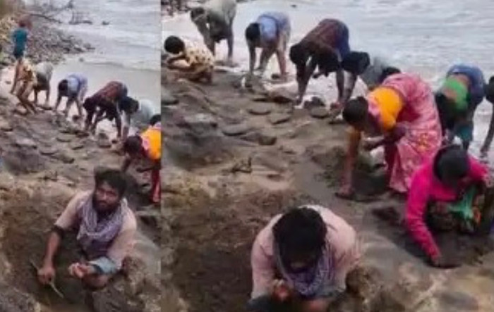 Cơn sốt vàng tràn bãi biển, người dân rộn ràng săn kho báu bí ẩn.