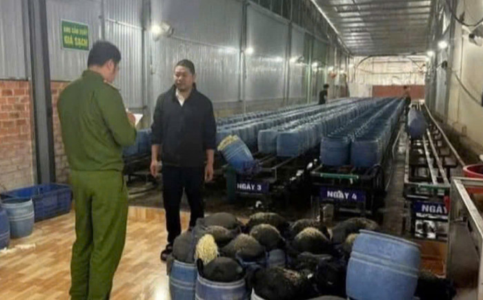 Bất ngờ giá đỗ ngâm chất cực độc ở Đắk Lắk có giấy chứng nhận an toàn thực phẩm Ảnh 2