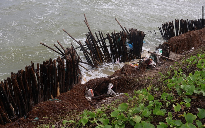 Bờ biển Hội An tiếp tục sạt lở, Quảng Nam công bố tình huống khẩn cấp Ảnh 2