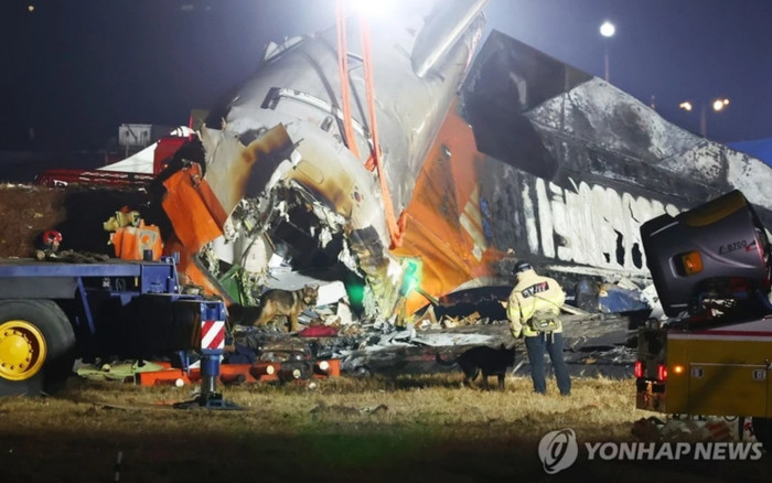 Hàn Quốc công bố quốc tang 7 ngày sau vụ tai nạn máy bay thảm khốc Ảnh 2