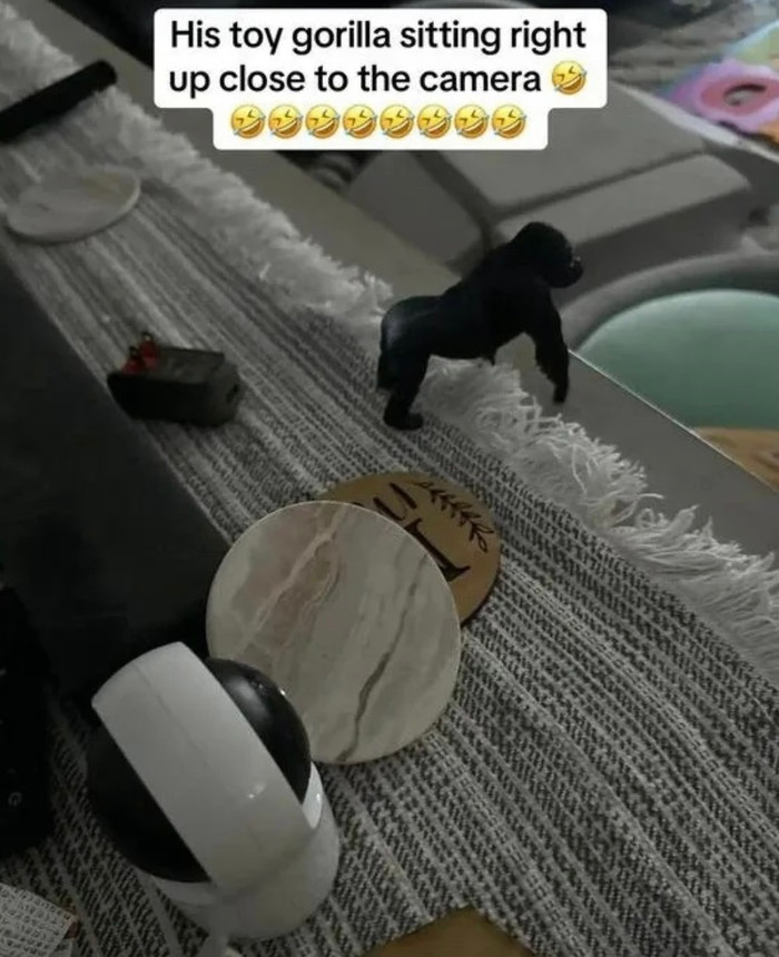 Hóa ra, đây chỉ là món đồ chơi của con trẻ.