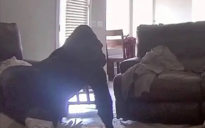 Kiểm tra camera, bà mẹ trẻ suýt ngất khi thấy cảnh tượng trước mắt Ảnh 2