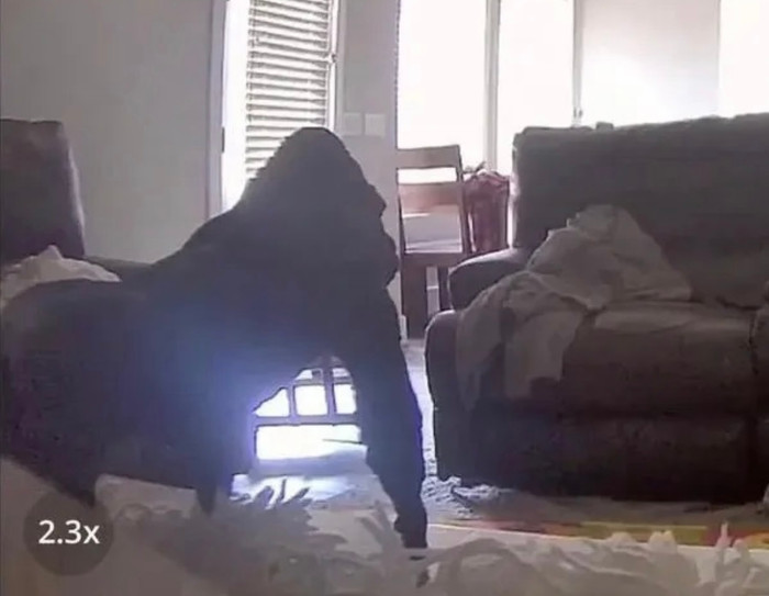 Bà mẹ hoảng loạn vì 'khỉ đột khổng lồ' xuất hiện trong nhà.