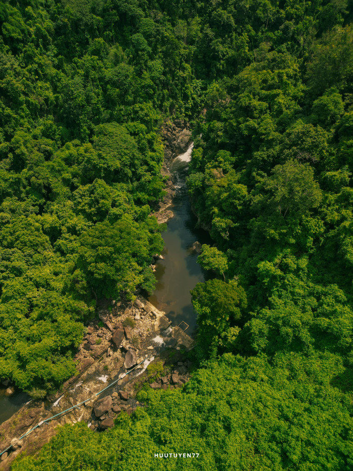 Màu xanh mát rượi làm mê mẩn bất kỳ du khách nào yêu thiên nhiên. Ảnh: Hữu Tuyển