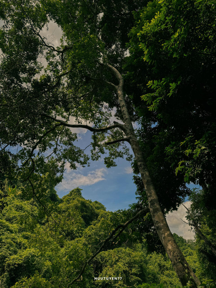 Không chỉ được ngắm con thác kỳ vĩ, bạn còn được hoà mình vào thiên nhiên trong lành tại nơi đây. Ảnh: Hữu Tuyển