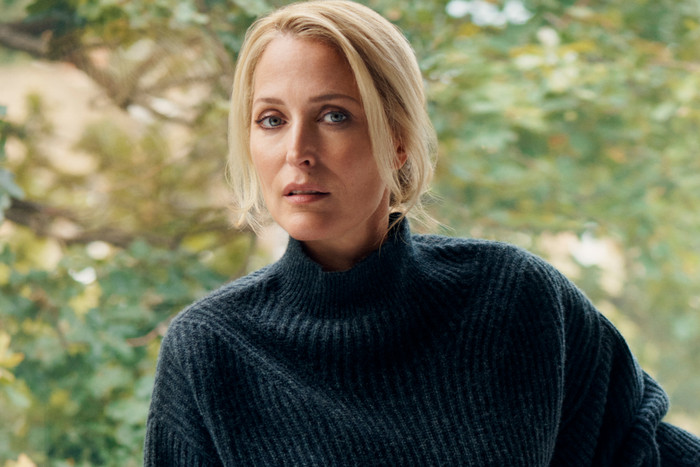 Sự góp mặt trong bộ phim Sex Education giúp cho Gillian Anderson phổ biến hơn với khán giả Việt.