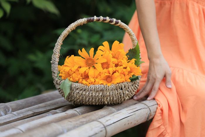 Những giỏ hoa dã quỳ đẹp lãng mạn