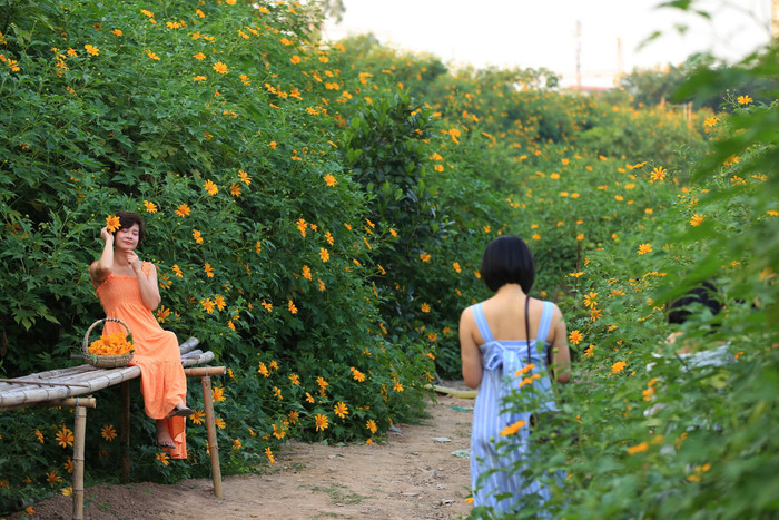 Được biết, vườn hoa này mở cửa từ 6h30-19h hàng ngày.