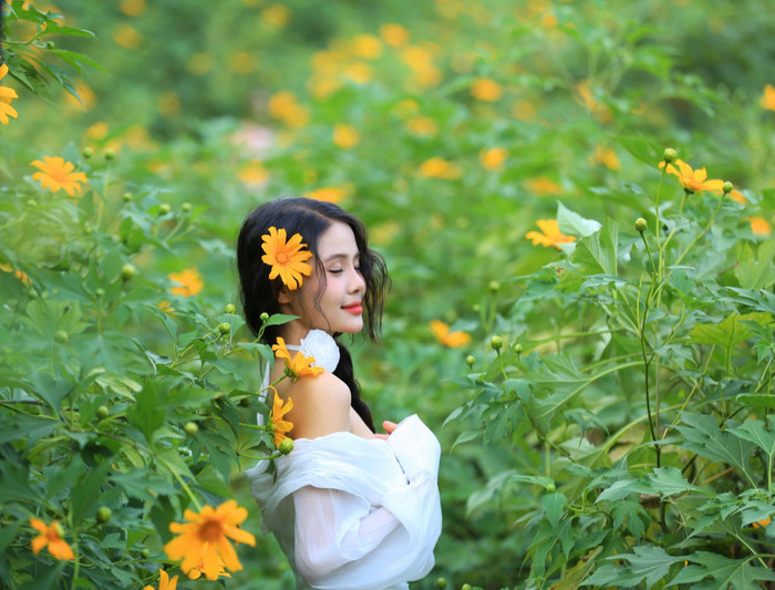 Nhắc đến hoa dã quỳ, giới trẻ Hà Nội sẽ nhớ ngay đến Ba Vì. Tuy nhiên, để đến vườn quốc gia Ba Vì, mọi người thường vượt quãng đường dài 60-70km. 