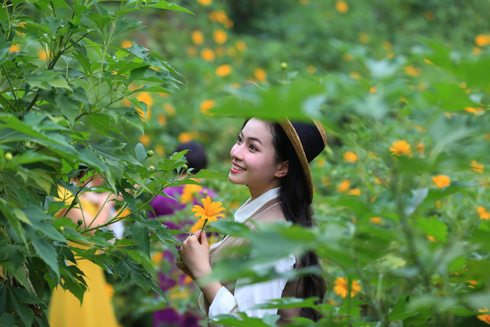 Vài năm trở lại đây, giới trẻ Hà Nội đã tìm ra một địa điểm mới toanh để check - in với hoa dã quỳ mà không cần phải di chuyển quá xa xôi. Đó là vườn hoa dã quỳ tại Xuân Đỉnh (Hà Nội).