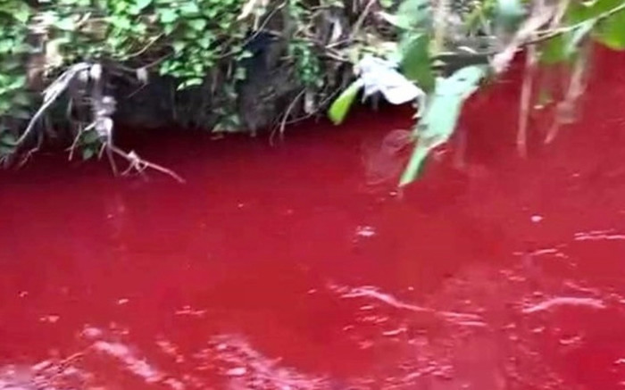 Kỳ lạ nước suối ở Bình Dương đổi màu đỏ như máu, cả làng đổ xô đến xem Ảnh 2