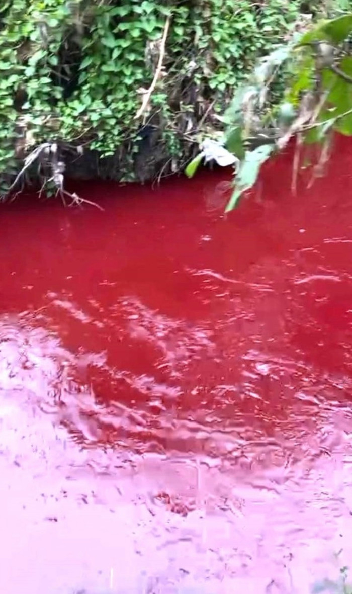 Hãi hùng nước suối ở Bình Phước đỏ như máu, bốc mùi khó chịu.