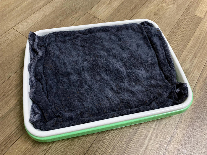 Sử dụng một cái rổ hoặc khay sạch, có thể lót một lớp vải mỏng lên đáy khay hoặc dùng khăn ẩm để giữ độ ẩm cho hạt. Ảnh: Dân Trí