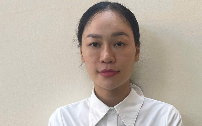 Bắt tạm giam Đỗ Kim Mai về tội lừa đảo chiếm đoạt tài sản Ảnh 2