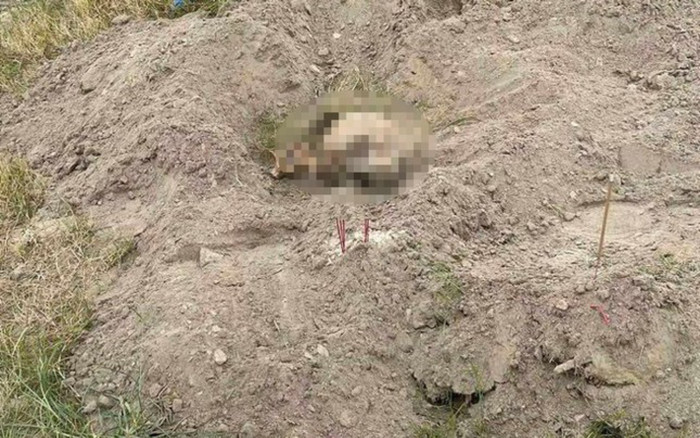 Phát hiện sọ người ở hạ lưu cầu Phong Châu, Phú Thọ Ảnh 2