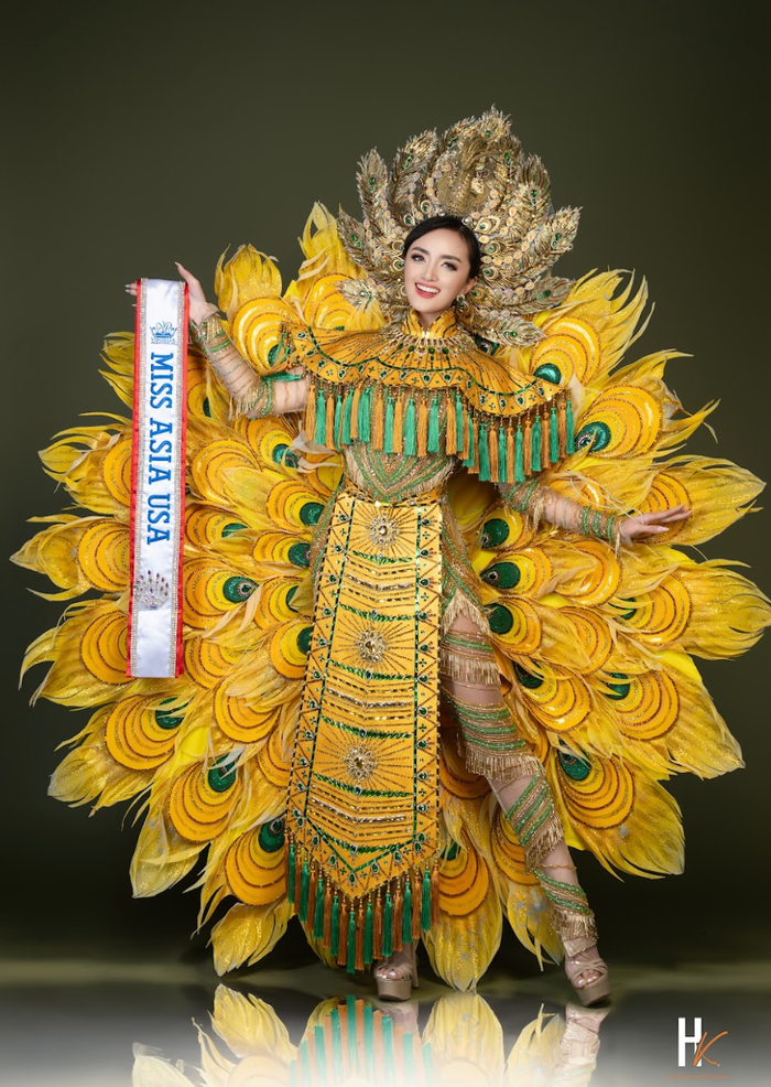 Trước đến với cuộc thi Hoa hậu Châu Á tại Mỹ 2025, Nicole Hồ đã học lớp giải phóng hình thể, catwalk trong lúc vừa làm việc vừa học ngành Y. Về khâu trang phục, người đẹp hợp tác với hai nhà thiết kế Việt là Đặng Trọng Minh Châu và nhà thiết kế Nguyễn Tiến Truyển để thể hiện vẻ đẹp và tâm hồn của Việt Nam trên sân khấu Mỹ. Theo đó, hai thiết kế mà người đẹp đem tới hai phần thi quan trọng là 'Vũ Điệu Nốc Dung' (trang phục dân tộc),  'Tình Khúc Thác Mây' (váy dạ hội). 