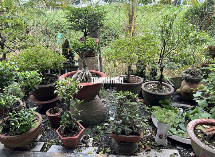 Khu vực phát hiện ra cá sấu.
