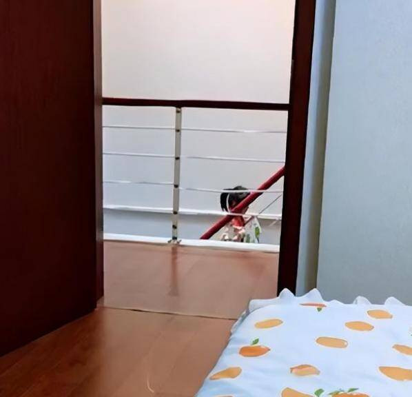 Con gái vừa đi học về đã hào hứng lên phòng tìm mẹ để tặng quà