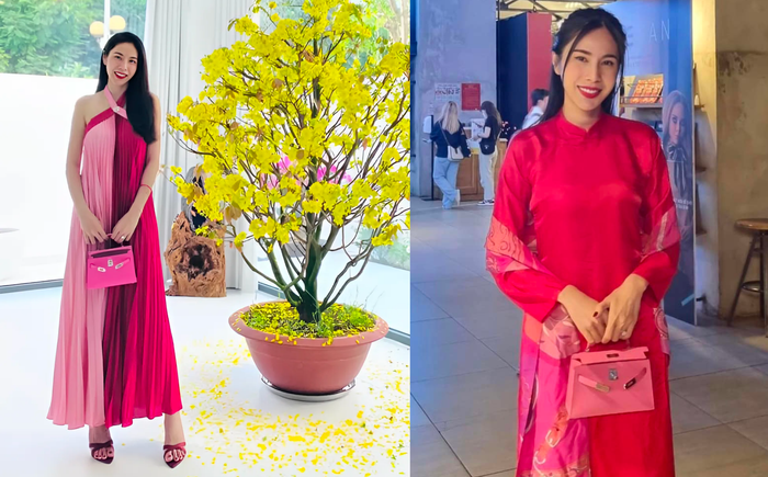 Thủy Tiên thường diện mẫu túi hiệu này trong nhiều hoạt động.