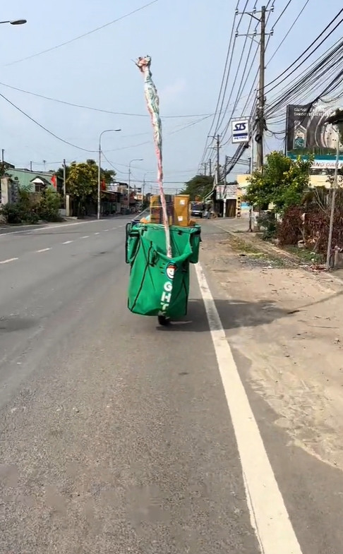 Mua cả cây trồng trên mạng.