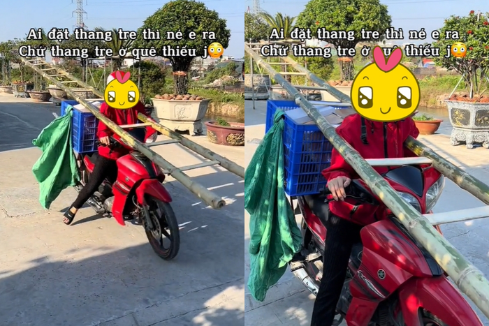 Nữ shipper đi giao thang.