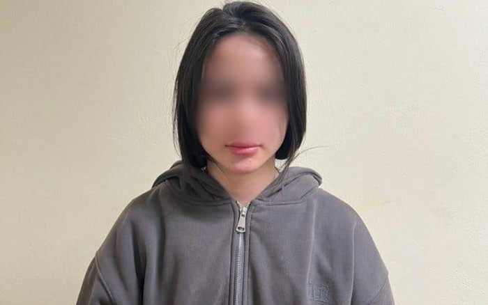 Bắt giữ Nguyễn Phương Linh Ảnh 2