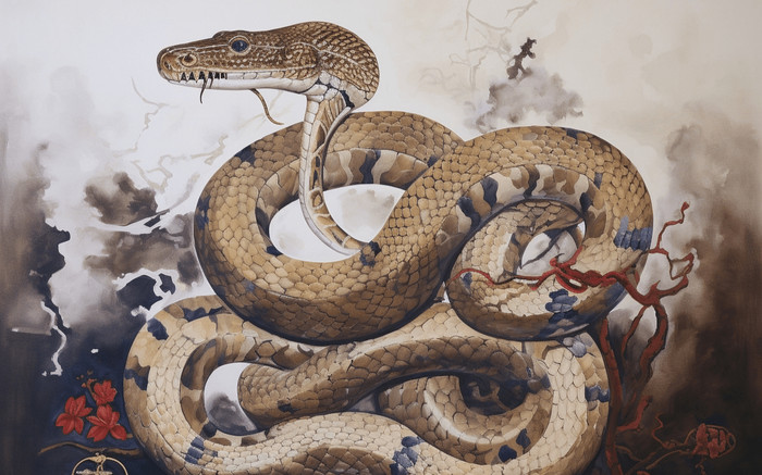 Tuần này, 3 con giáp làm gì cũng phất, tiền bạc rủng rỉnh túi Ảnh 2