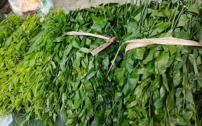 Loại rau xưa mọc dại ít ai biết, giờ thành đặc sản được dân thành phố 'săn lùng', 220.000 đồng/kg Ảnh 2