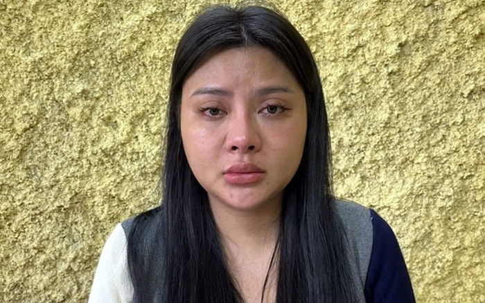 Khởi tố Phạm Hồng Thắm Ảnh 2