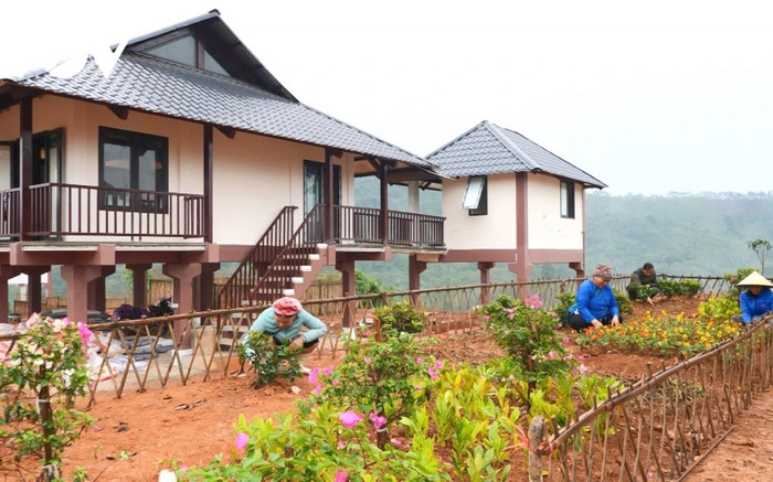 Người dân Làng Nủ dựng vườn, trồng hoa chuẩn bị dọn về nhà mới vào cuối năm Ảnh 2