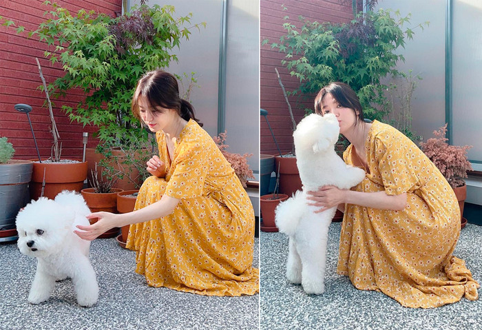 Hé lộ lý do Song Hye Kyo vội vàng trở về Hàn Quốc Ảnh 3