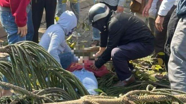 Cô gái bị cây đổ đè trúng người. (Ảnh: PLO) 