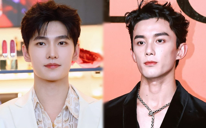 Ngô Lỗi bị ví như Dương Dương phiên bản lỗi vì diễn quá lố Ảnh 2