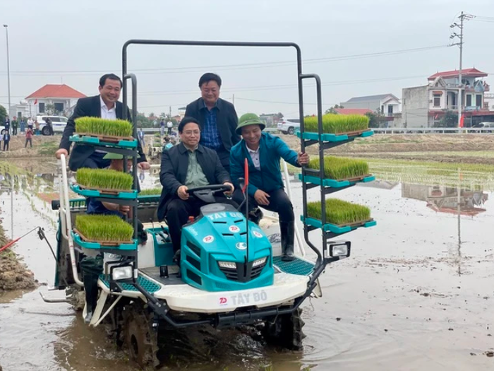 Thủ tướng trực tiếp xuống đồng cấy lúa cùng bà con nông dân (Ảnh: Nhật Bắc)