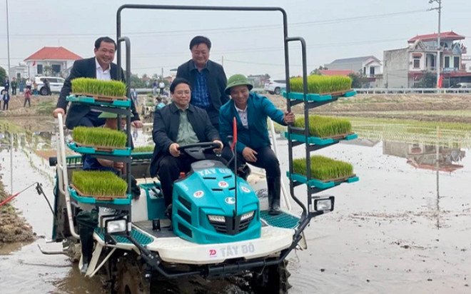 Thủ tướng xuống đồng cấy lúa cùng nông dân Ảnh 2