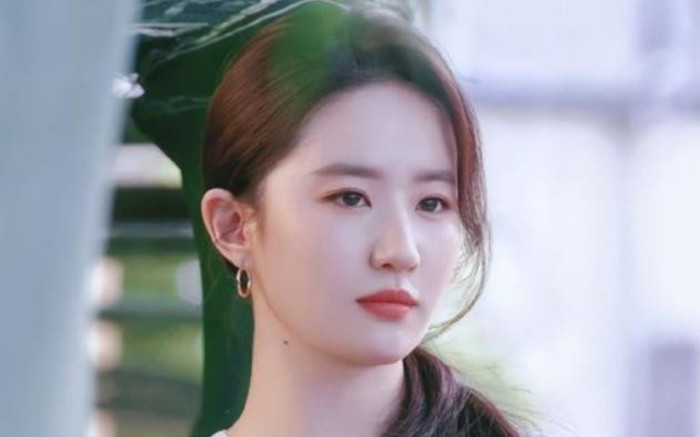 Lưu Diệc Phi và người tình lâu năm đón nhận tin vui lớn ngay đầu năm mới, fans rần rần chúc mừng Ảnh 2