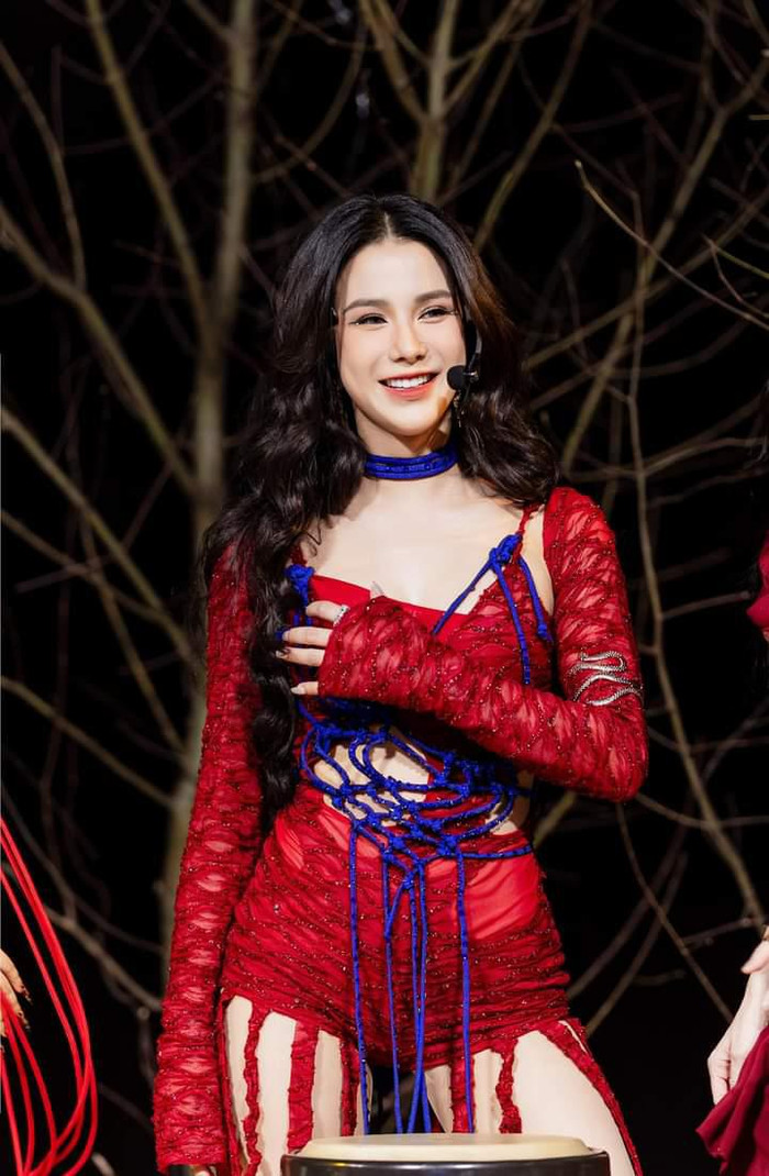 Chia sẻ cách đây chưa lâu, Diệp Lâm Anh cho biết sóng gió hôn nhân ảnh hưởng khá lớn đến tâm lý của cô. Tuy vậy, các thiên thần nhỏ là nguồn vui, động lực giúp cô vượt qua biến cố. Lâm Anh bộc bạch: “Tôi chỉ nghĩ sau những chuyện đó con mình sẽ thế nào? Đến một ngày, họ không quan tâm đến cảm xúc của mình. Mình khóc cũng phải tự lấy khăn giấy lau rồi ôm con. Đó mới là lý do.”.