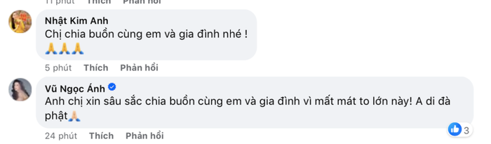 Nhiều nghệ sĩ Việt đã để lại lời chia buồn dưới bài viết của Hồ Bích Trâm.