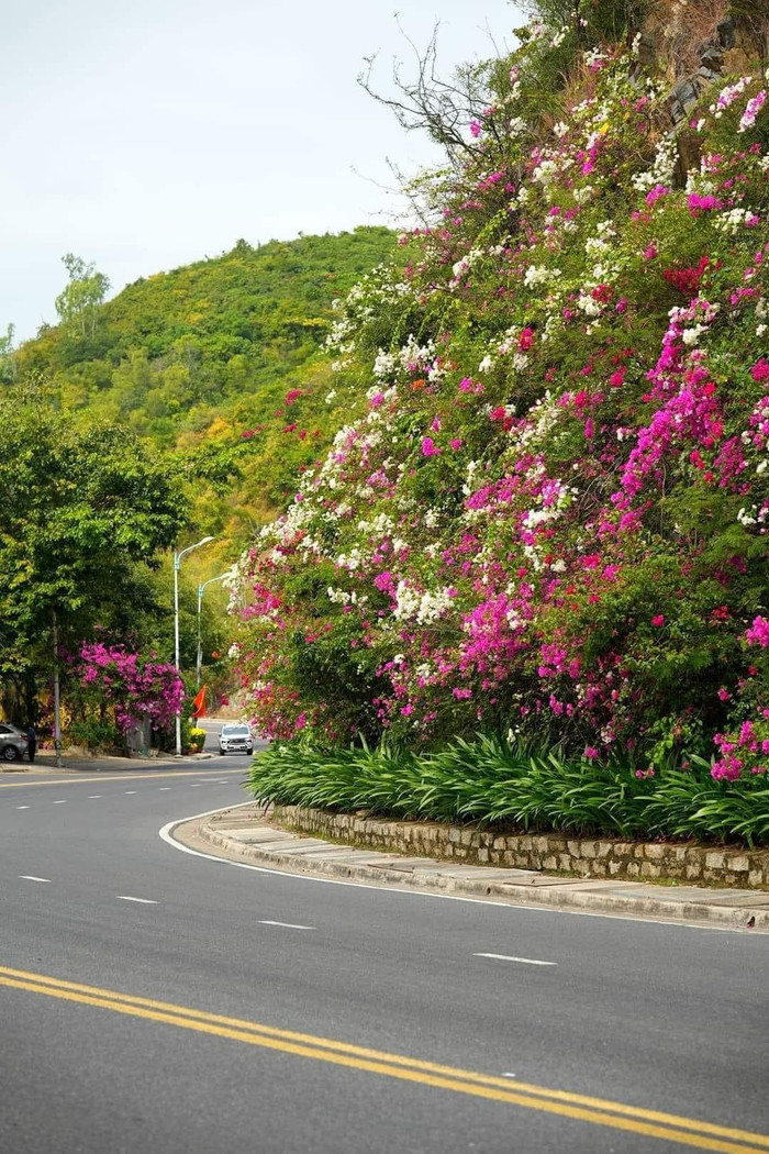 Chỉ cần thả dáng ở đây, nhất định sẽ có ảnh đẹp để mang về. Ảnh: Quốc Bảo/Fanpage Khánh Hòa