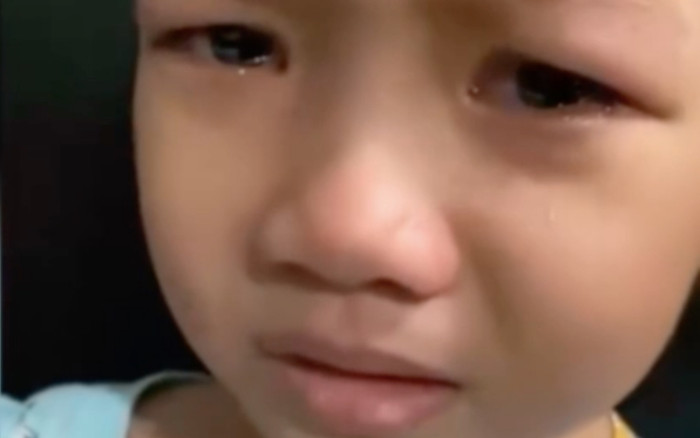 Nghỉ Tết dài ngày, bé gái nhớ cô giáo đến phát khóc Ảnh 2