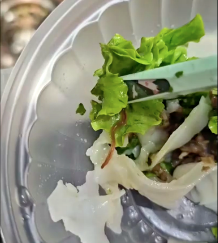 Hình ảnh dị vật giống giun còn sống bò lổm ngổm trên rau. (Ảnh cắt từ clip).