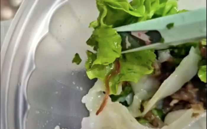 Hà Nội: Khách lặng người khi thấy giun còn sống bò lổm ngổm trên phở cuốn Ảnh 2