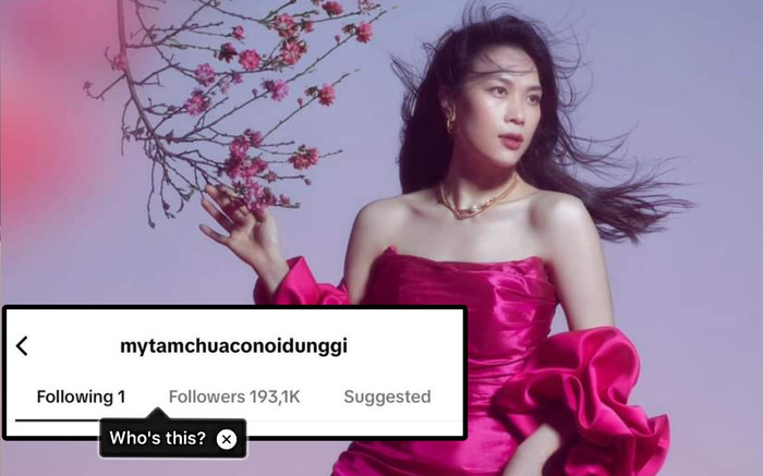 Xôn xao Mỹ Tâm bấm theo dõi một nam ca sĩ 6 múi trên mạng xã hội: Thực hư ra sao? Ảnh 2