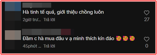 Hồ Ngọc Hà có hành động tinh tế với Kim Lý khi gặp gỡ loạt nhân vật quyền lực nước ngoài Ảnh 1