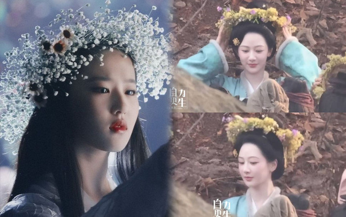 Dương Tử hóa hoa tiên tử trong tạo hình mới, đẹp thế nào mà được so sánh với Lưu Diệc Phi? Ảnh 2