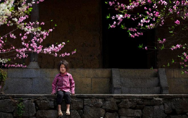 Đẹp mộng mơ một mùa Xuân ở Lao Xa, Hà Giang Ảnh 2