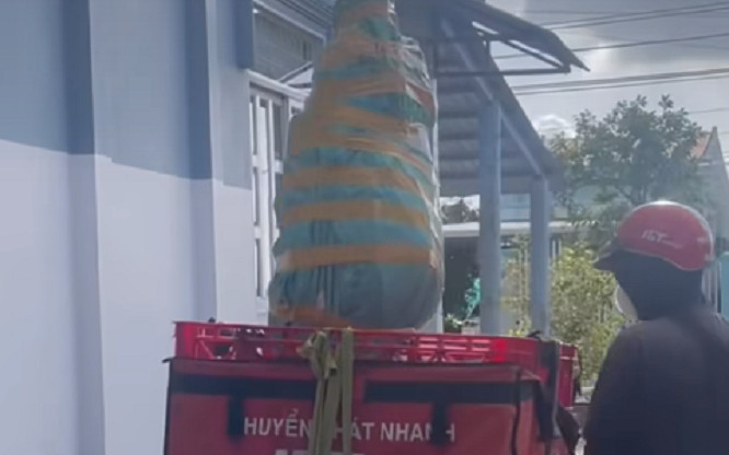 Đặt cây mai từ hôm 29 Tết, chủ nhà chán không buồn nói khi thấy shipper giao hàng Ảnh 2